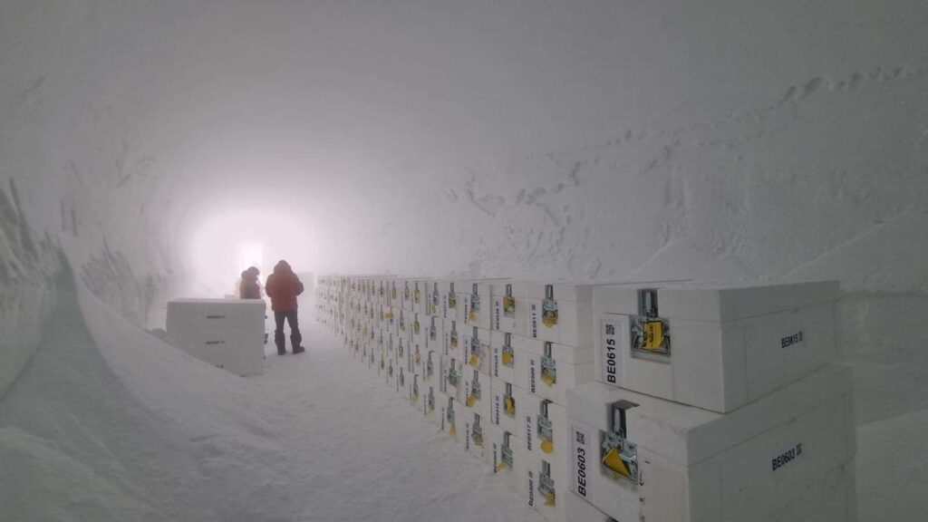 Skynews epica antarctica