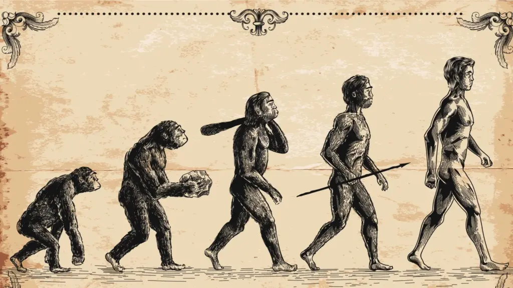 Human.evolution