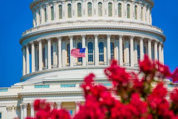 Depositphotos 65843269 stock photo capitol building washington dc pink