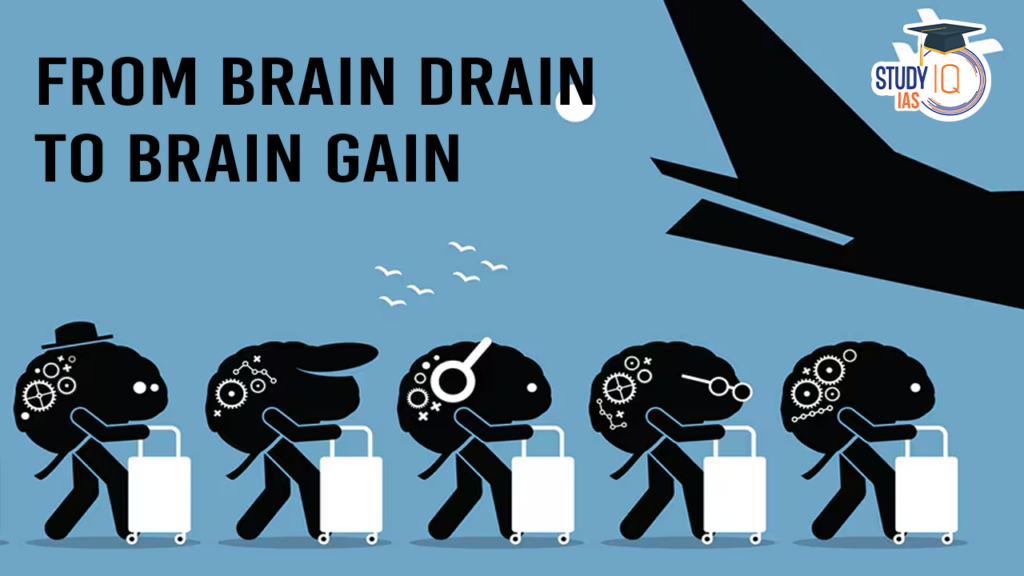 From brain drain to brain gain blog
