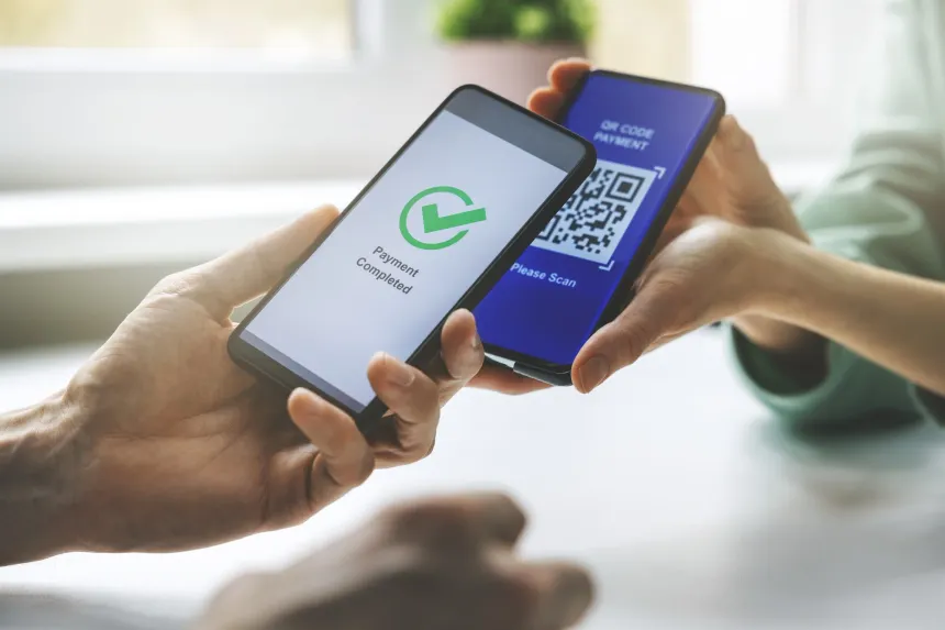 IRIS QR code payments