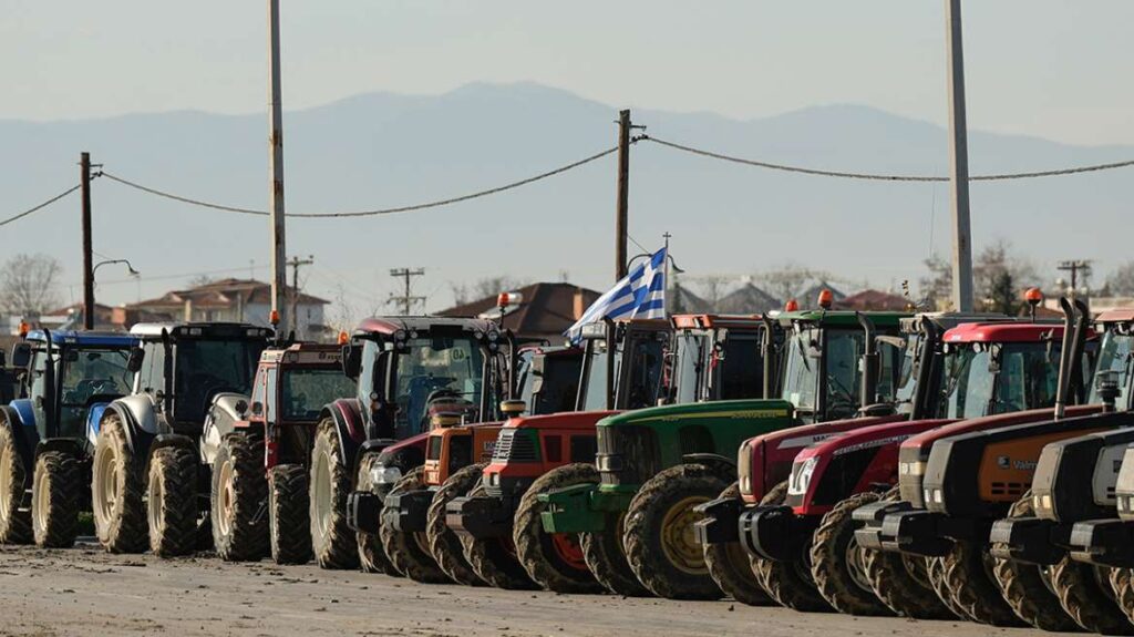 Agrotes mak